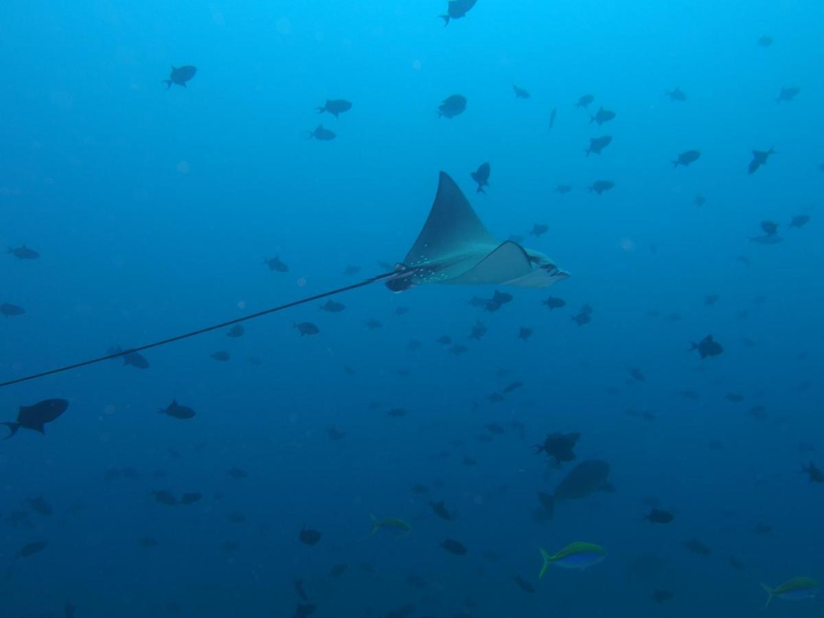 Leaf Fish Guesthouse Maldives Keyodhoo  Екстер'єр фото